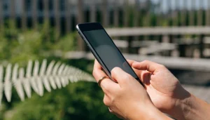 Mobile pokies in New Zealand: browser and app access